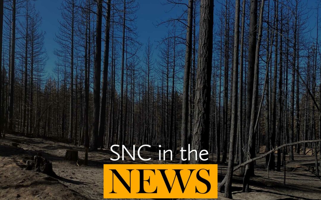 SNC in the news: fourth quarter 2020