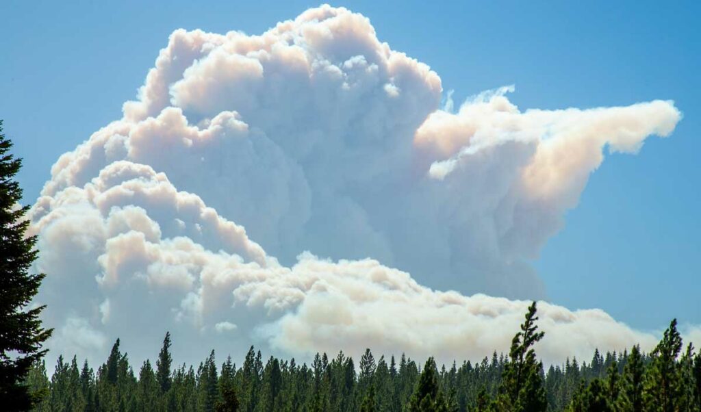 A large plume of smoke rises above a forested ridgeline