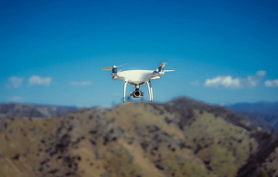 Forest structure from above: using drones for restoration planning and monitoring