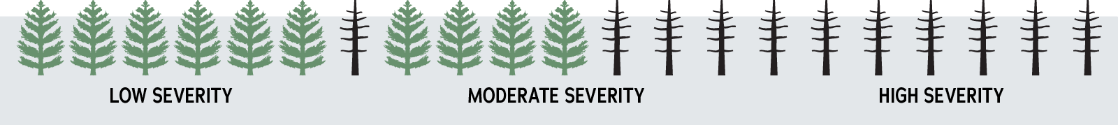 low severity: 6 out of 7 trees are alive. Moderate severity: 4 out of 7 trees are alive. High severity: all trees are dead.