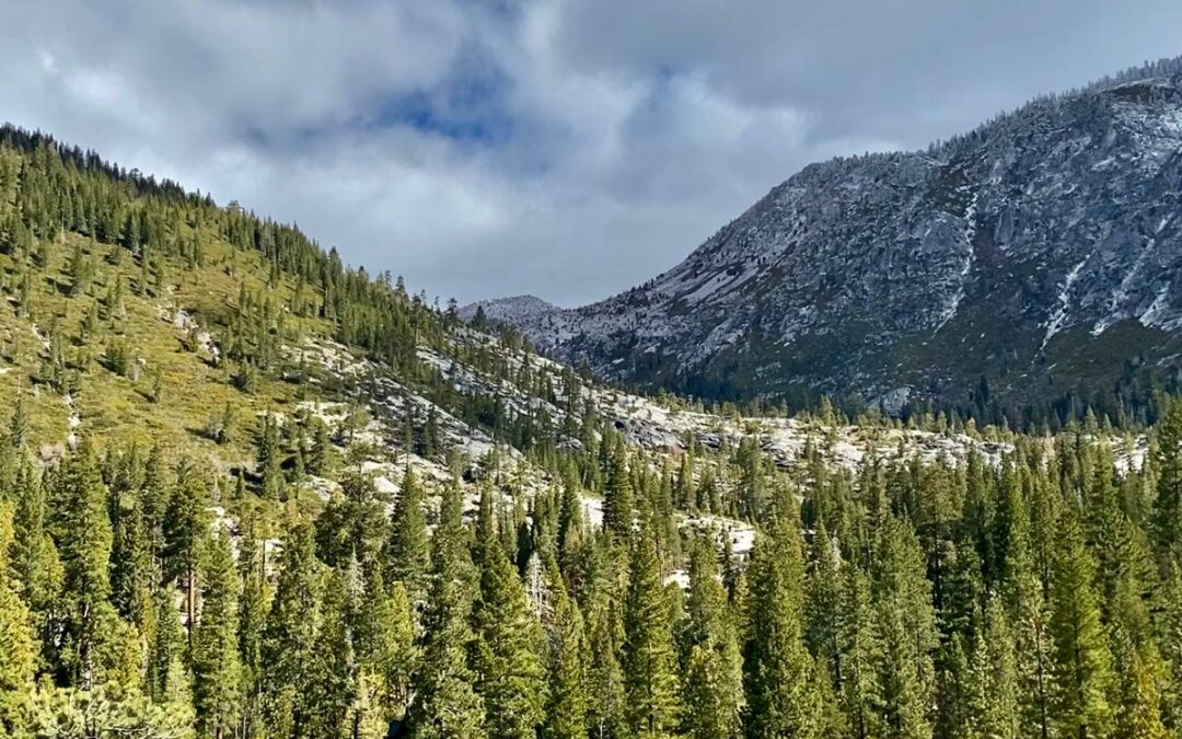 Plans funded for forest restoration projects and new trails crossing Sierra Crest