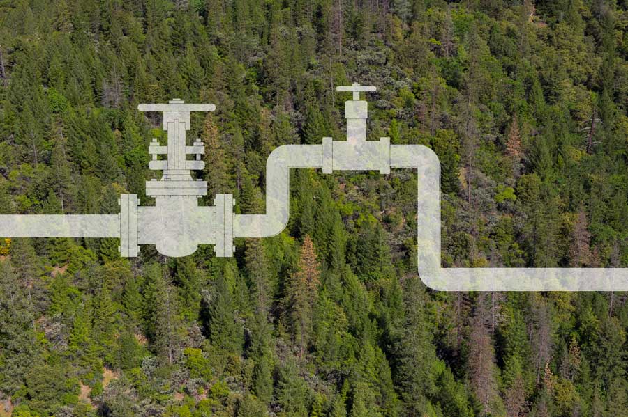 Forest health project pipelines can deliver regional resilience