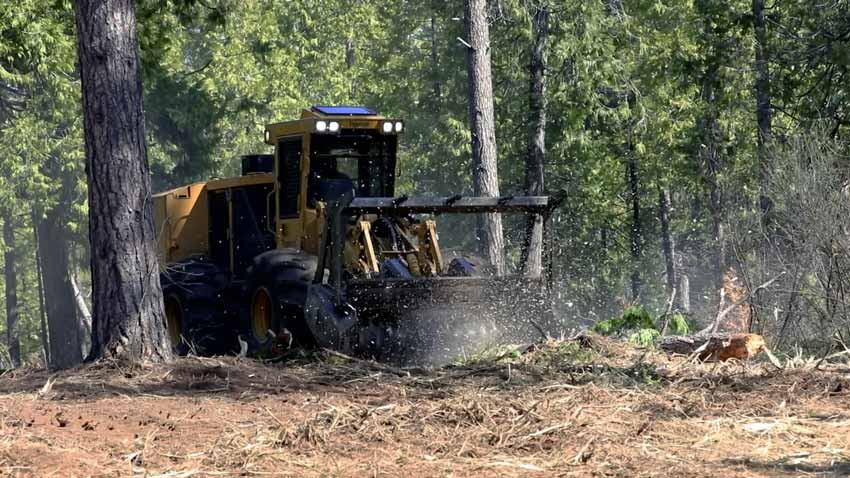 active bulldozer surrounded by trees