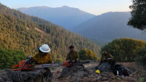 Three workers with chainsaws rest on side of a mountain. A forested mountain canyon is in the background