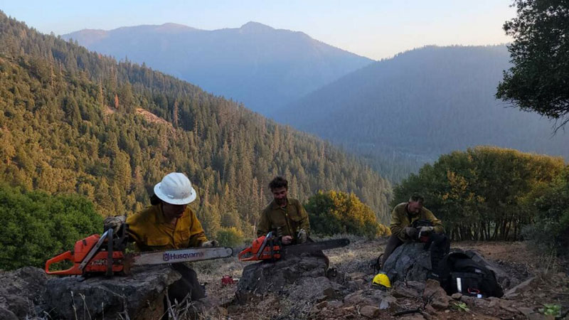 Three workers with chainsaws rest on side of a mountain. A forested mountain canyon is in the background