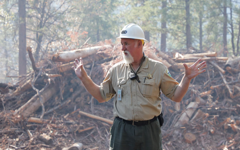 man in a forest wearing a hard had talks in front of a large pile of brown tree material