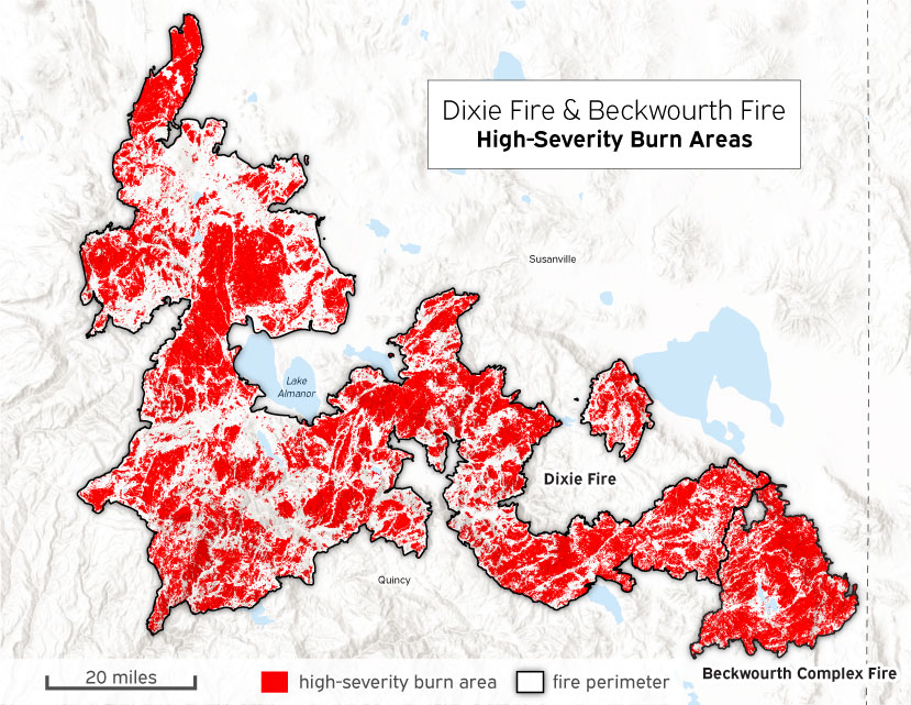 large high-severity burn areas distributed throughout the Dixie Fire and Beckwourth Fire burn footprints
