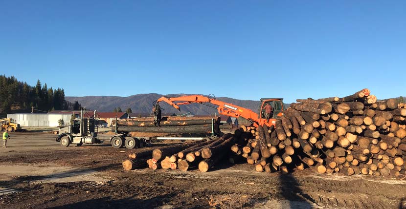 stack of tree logs and a machine holding one