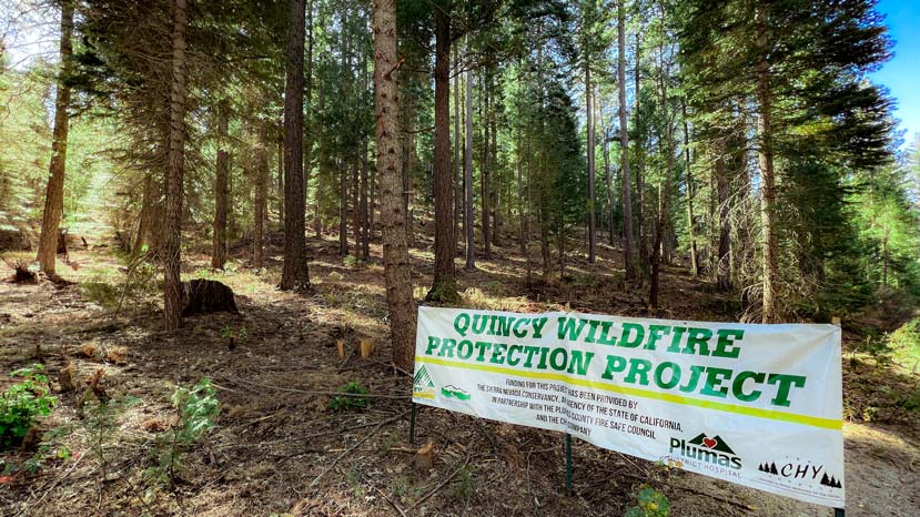 banner reading quincy wildfire protection project staked in the ground in front of several green pine trees, which are spaced apart enough to see beyond the foreground trees