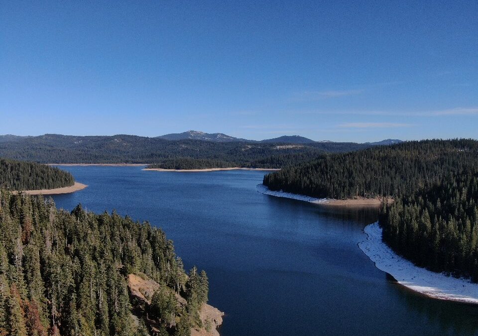 Forestry project complete at Feather River reservoir