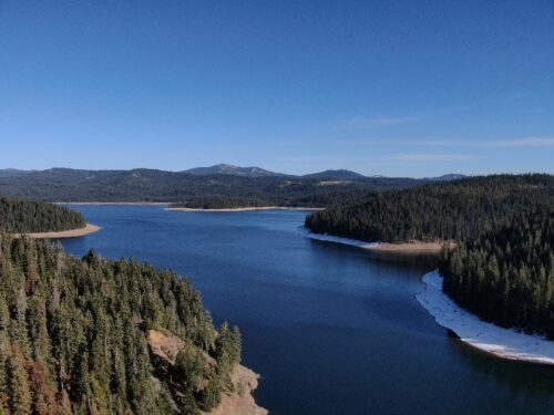 a large body of water surrounded by pine trees