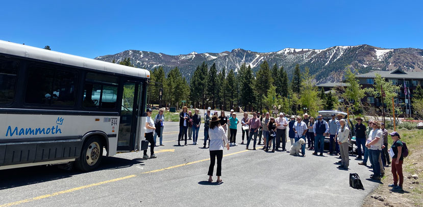 group of people stand in the road next to a bus that says Mammoth with trees and mountains in the background