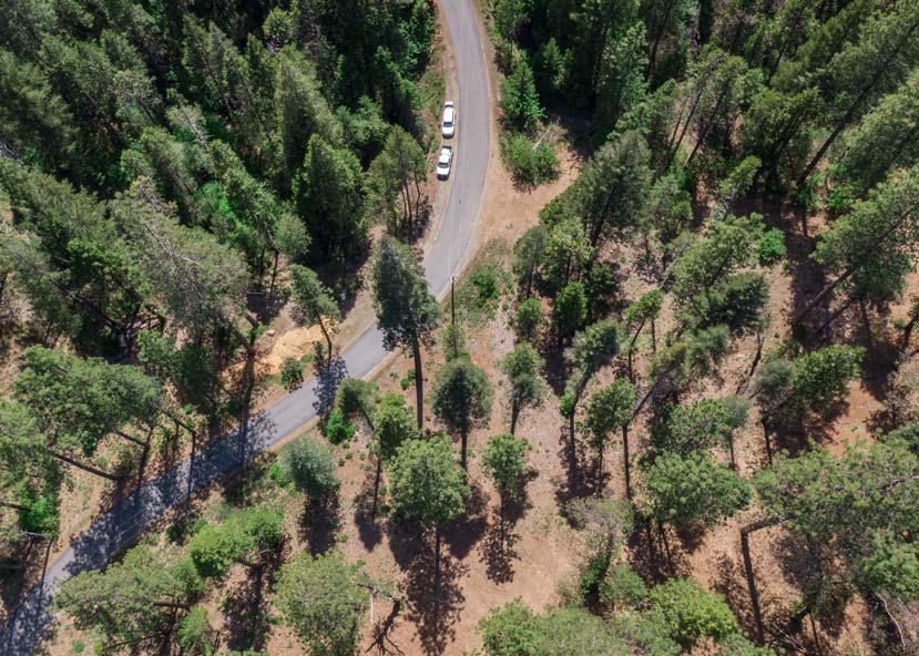 aerial looking down at a forest with a road bisecting it