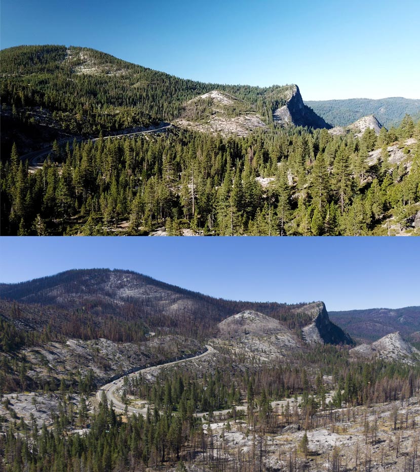 Looking out and down across a mountainside and highway. In the top image, the landscape is covered with green trees. In the bottom, there are far fewer trees and many of the ones left are brown.