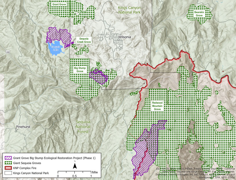 project work was done around grant grove and sequoia creek grove,  in the eastern portion of big stump grove, and on part of the western edge and surrounding area of redwood mountain grove, which was burned by the KNP complex fire