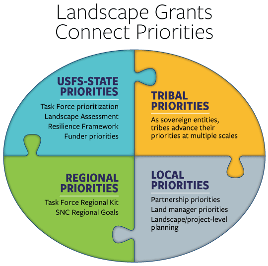 Landscape Grants Connect Priorities puzzle with four pieces.  Piece 1: USFS-state priorities (Task Force Prioritization, Landscape Assessment, Resilience Framework, Funder priorities).  Piece 2: Tribal priorities (as sovereign entities, tribes advance their priorities at multiple scales).  Piece 3: Regional priorities (Task Force Regional Kit, SNC Regional Goals).  Piece 4: Local priorities (Partnership priorities, land manager priorities, landscape/project-level planning).