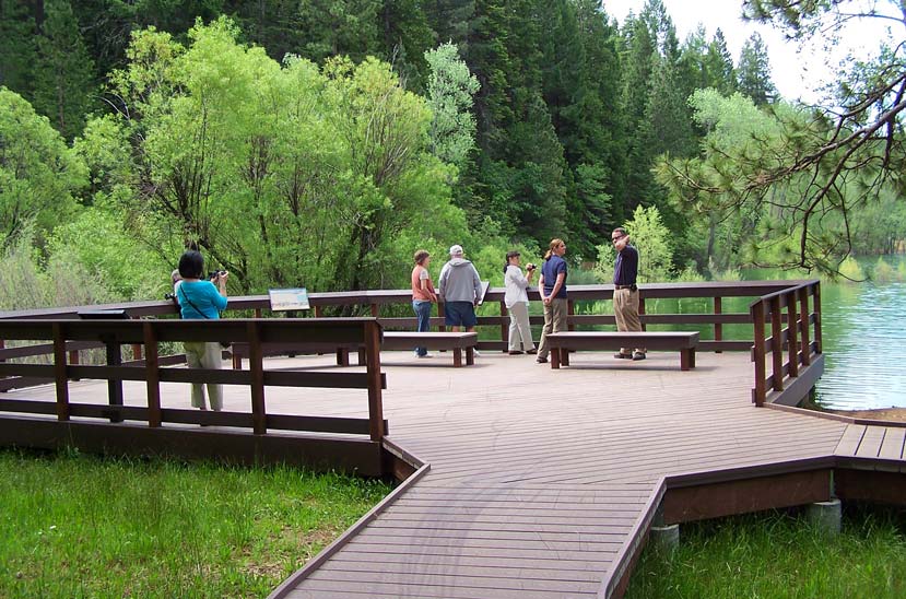 several people standing on a platform that faces a lake with a forest behind it