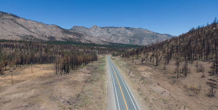 low aerial view looking out along a highway with burned brown and black trees on both sides and a mountain in the background