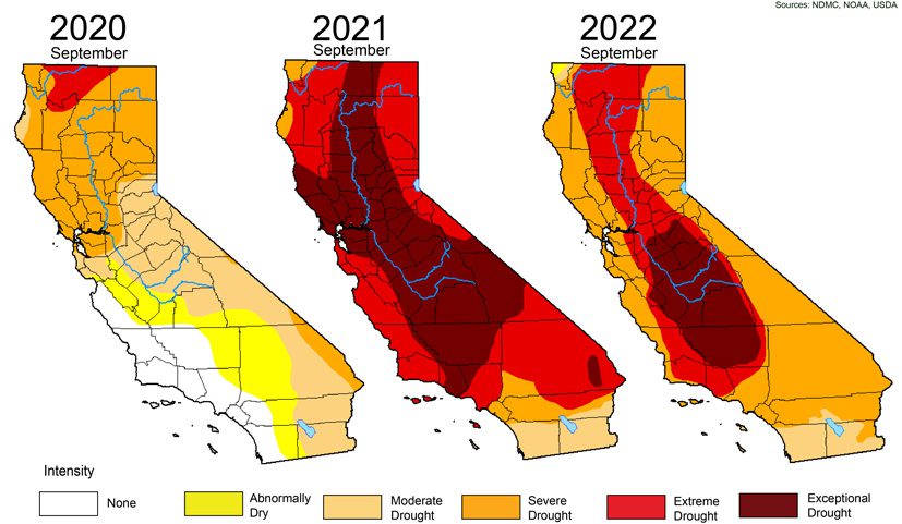 2020 was the least dry and 2021 was the most dry. In 2020 northern California experienced severe drought while the eastern half of southern California experienced moderate drought or was abnormally dry. In 2021 almost the whole state experienced extreme drought (the second highest intensity), while the central valley and beyond experienced exceptional drought (the highest intensity). In 2022, almost the whole state experienced severe drought, while the northern central valley experienced extreme drought and the southern central valley experienced exceptional drought.