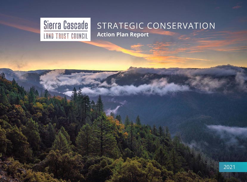 Cover of the 2021 Strategic Conservation Action Plan Report that is mostly filled with an image of misty, forested mountains at sunset