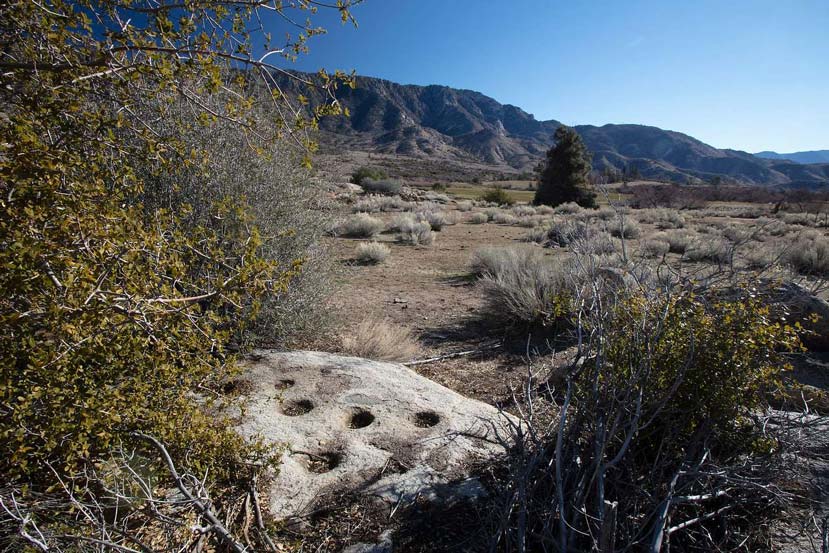 a rock with several grinding holes and a meadow backed by mountains in the background