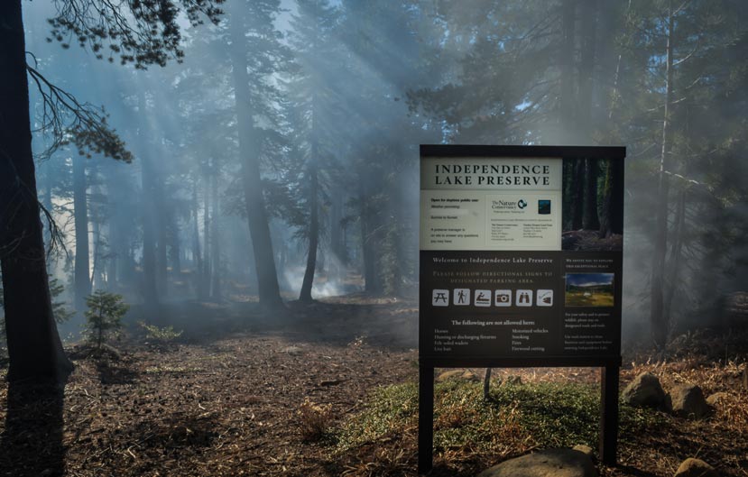 standing ground level looking out at pine trees with some smoke filling the frame and a sign about the Independence Lake Preserve in the foreground