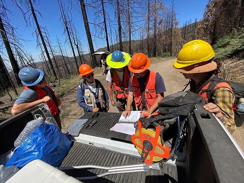 group of 5 people wearing hard hats are gathered outside around a binder in the back of a truck. A dirt trail and blackened trees are behind them.