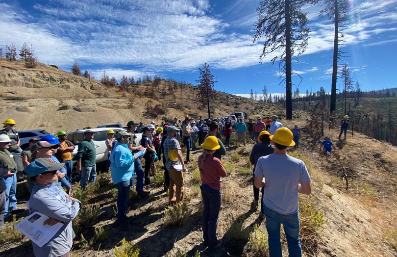 large group of people in hats and hard hats standing on the side of a brown hillside with a few black trees in the background