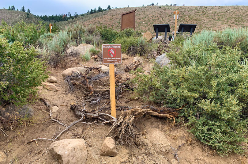 a trail sign says "restoration in progress" surrounded by bushes, roots, and dirt