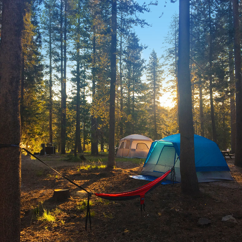 two tents and a hammock nestled in between several trees, illuminated by sun in the distance