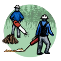 drawing of a person holding drip torch lighting a small fire and a person holding a chainsaw standing behind a pile of woody sticks and trunks