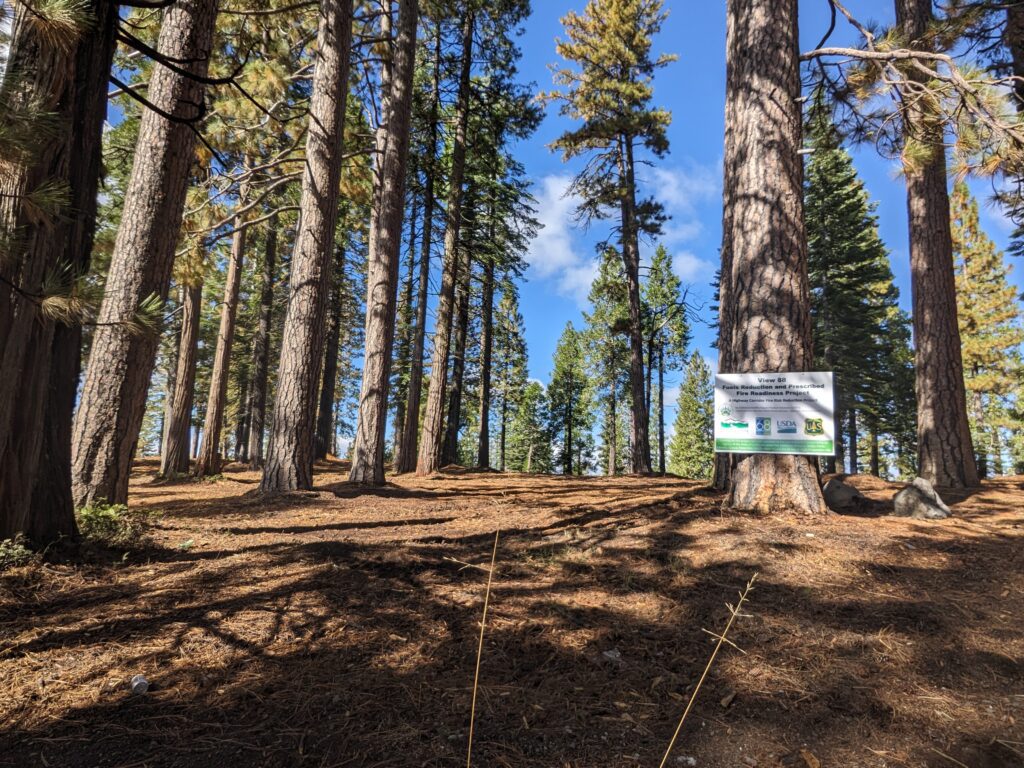 Open spaced ground with mature conifer trees dispersed on the land. A sign of the View 88 project is posted on a tree.