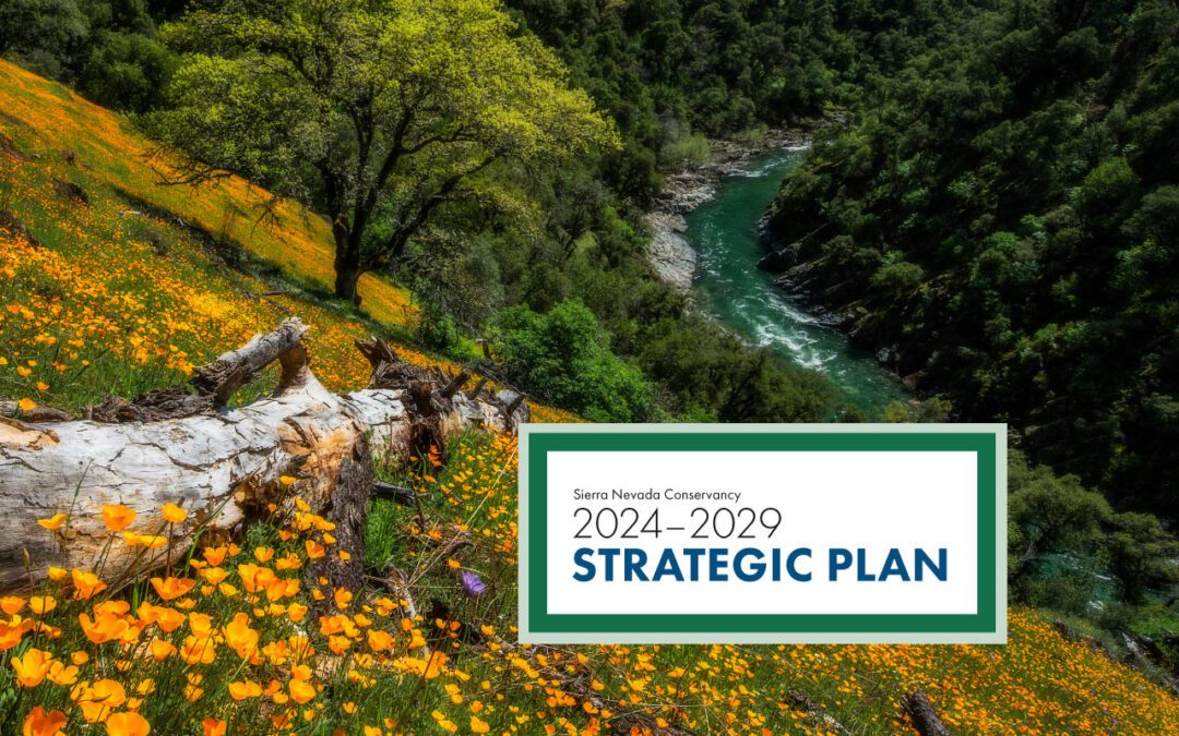 SNC adopts new five-year Strategic Plan, supports four forest-resilience projects