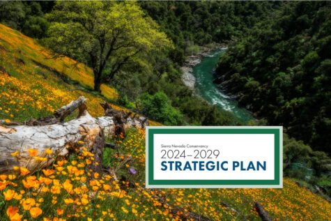 California poppies densely scattered across across a slope that goes to a river. SNC's Strategic Plan graphic on the lower right.