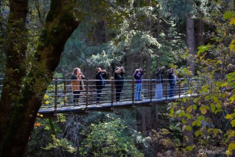 Six people stand on a suspension bridge surrounded by trees. Their arms are outstretched and are each holding something in their hands.
