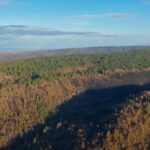 Aerial looking across a burned ridge that still has green trees on its far side