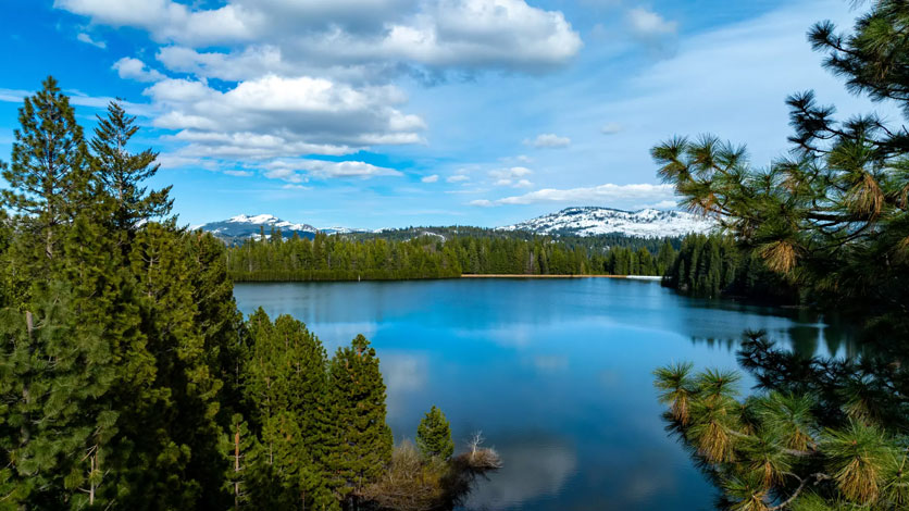 The SNC awards $2.3 million to 40 Acre Conservation League forest-health project