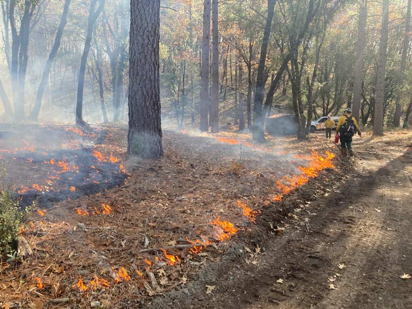 Prescribed fire project cuts risk, increases climate resilience in South Yuba Canyon near Nevada City