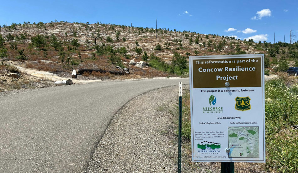 view of Concow project sign and barren hillside in background with small shrubs