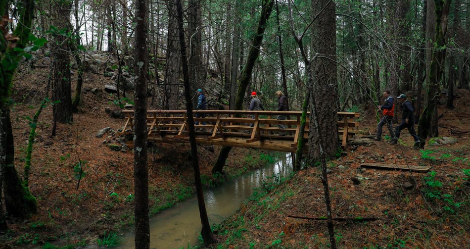 people walk across a bridge crossing a creek in a forest