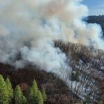 aerial looking down at forest with smoke
