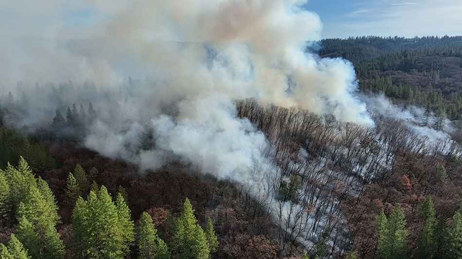 Nature at work: building climate resilience in the Sierra-Cascade