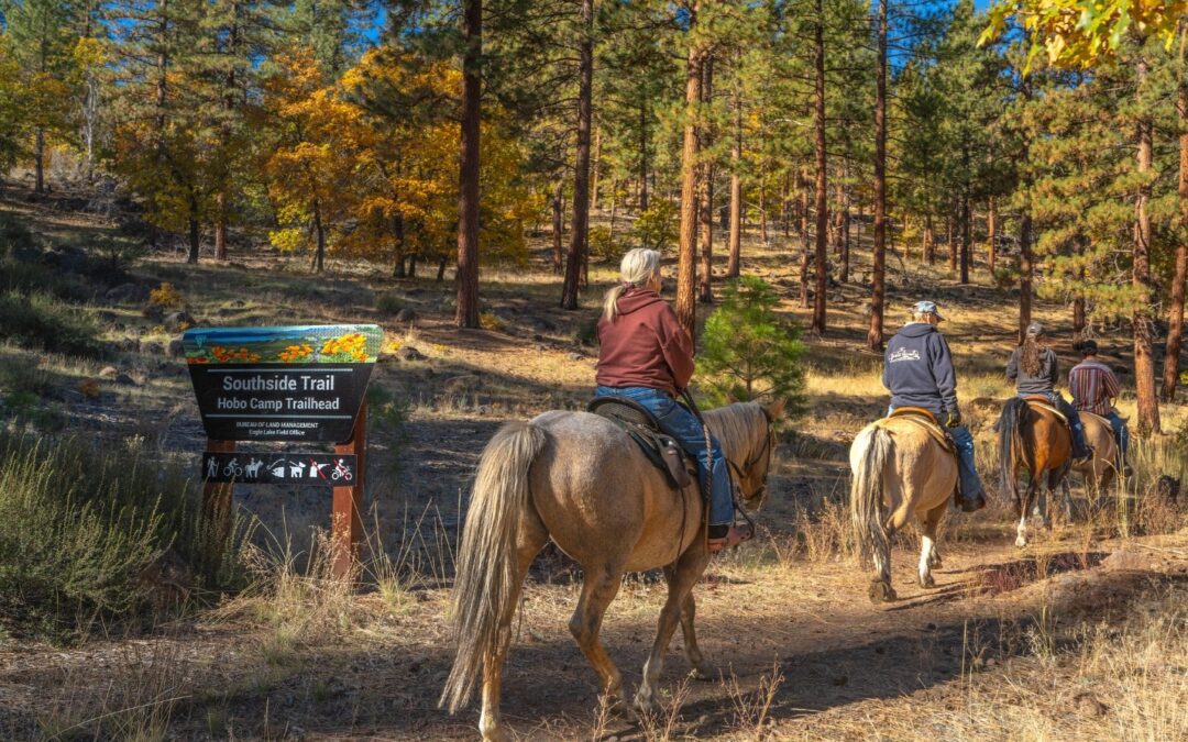 SNC launches Sustainable Recreation, Tourism, and Equitable Outdoor Access grant round