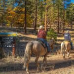 Four people ride horses down a dirt trail
