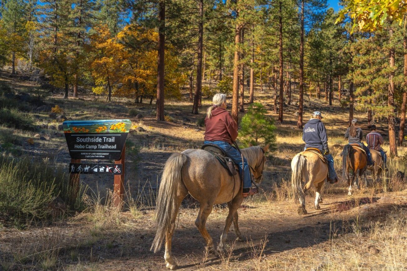 Four people ride horses down a dirt trail.
