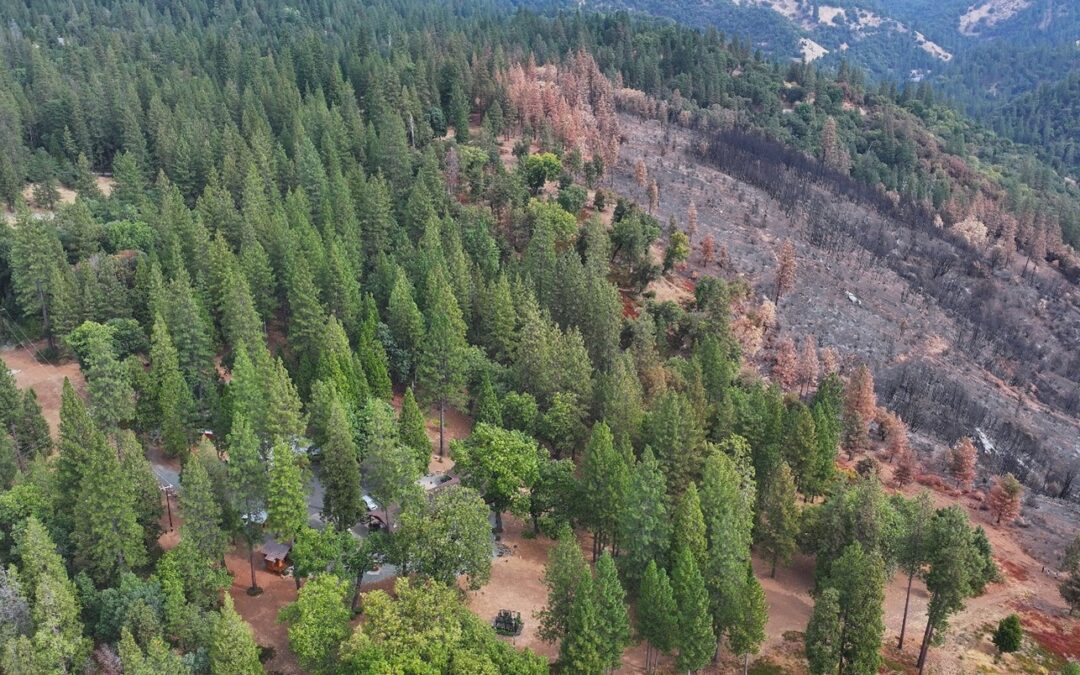 The SNC Board approves wildfire and forest resilience grants to help protect communities