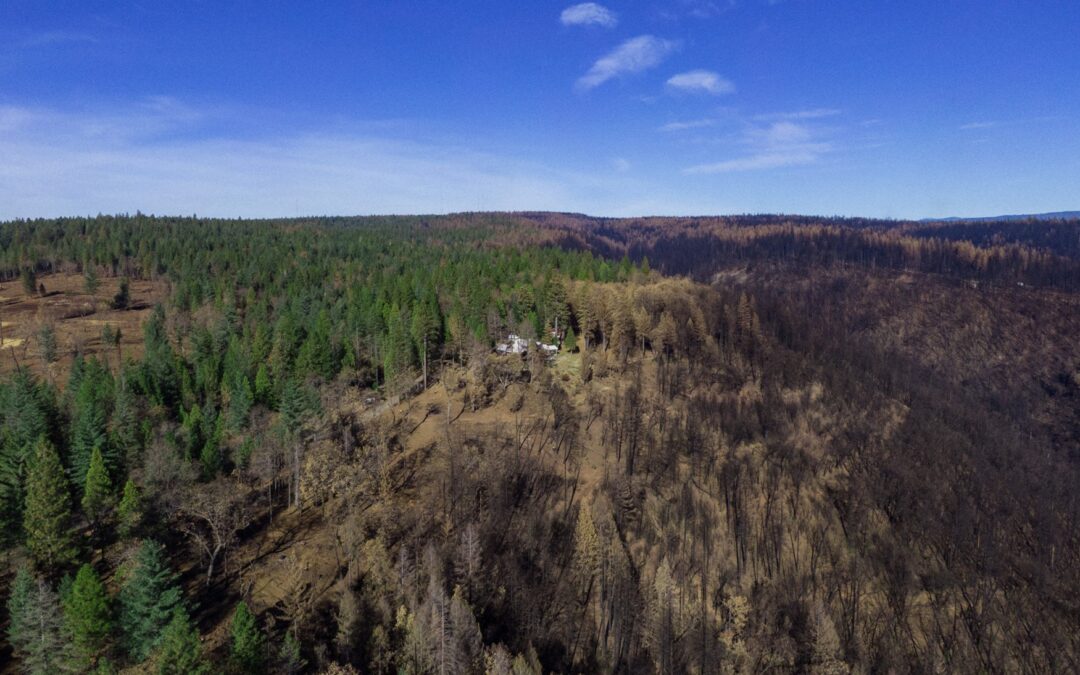 The SNC Board Approves Nearly $8.7 Million in Wildfire Resilience Grants at March Meeting