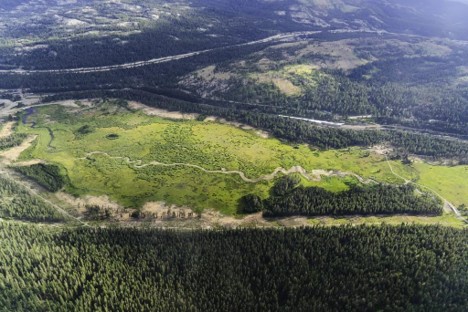 And aerial shot of an area showing trees, trails and roads.