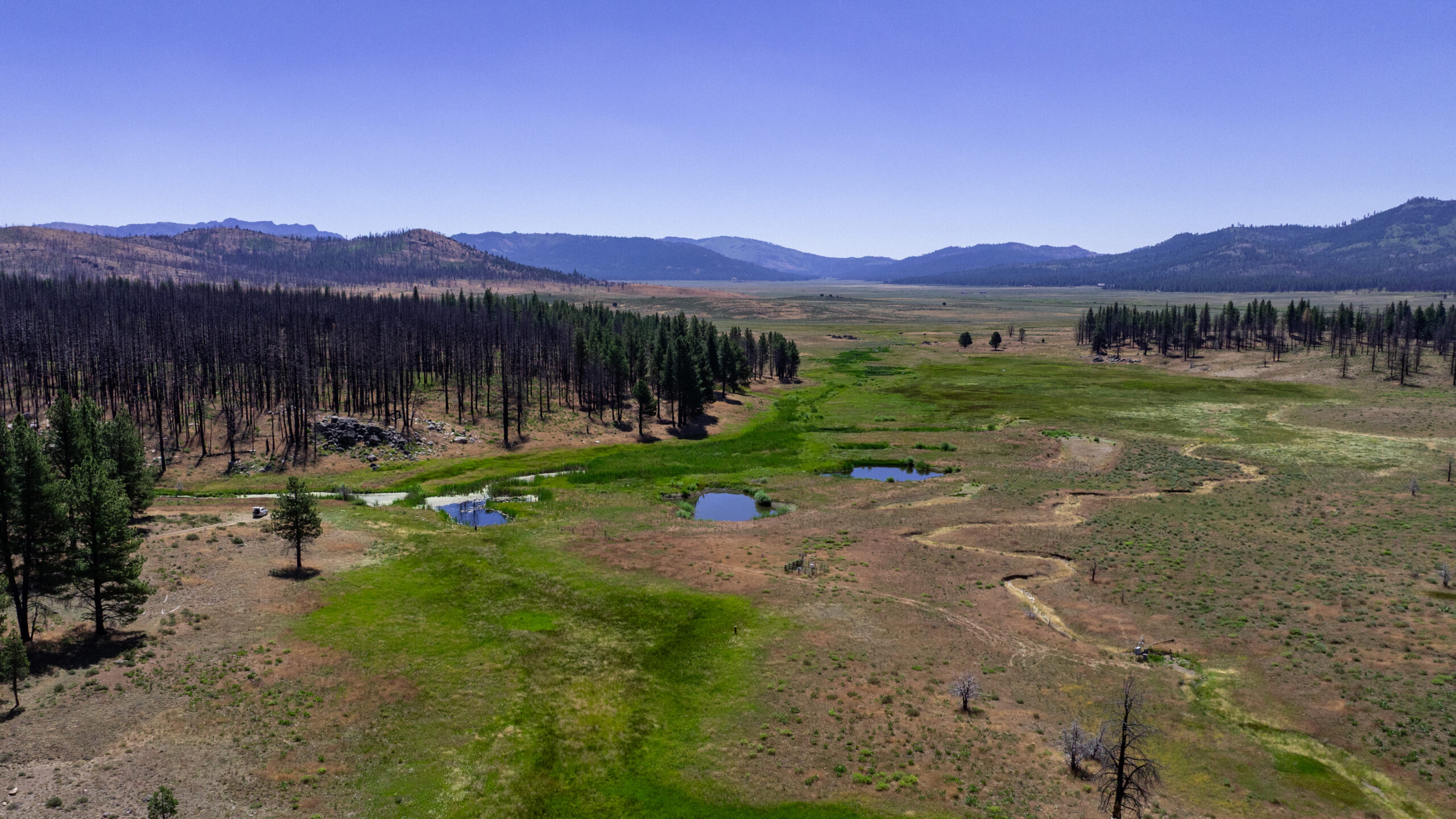 An aerial view of a meadow near a lake.