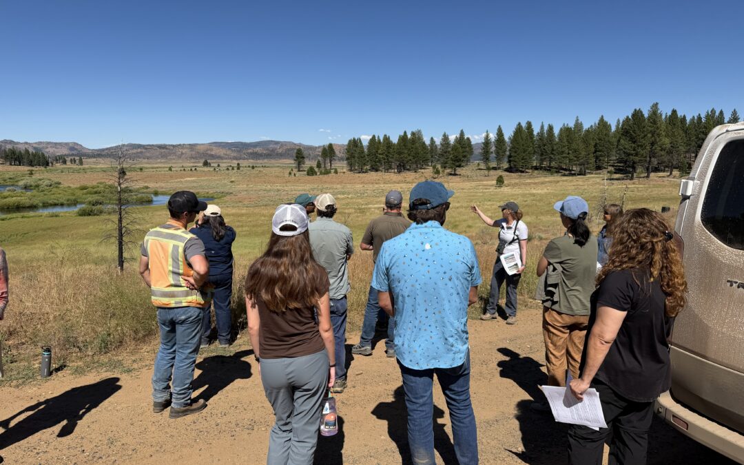 The DWR, SNC, and Blue Forest host Upper Feather River watershed tour for state contractors